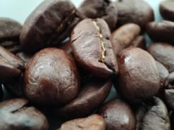 Voordeelpakket: Den Leeuw Lungo (80 Koffiecups) - Roast Koffiecups - Echte Hollandsche Koffie Van Den Leeuw In Nespresso Cups - Nespresso Compatibele Koffie Cups 10 Voordeelpakket: Den Leeuw Lungo (80 Koffiecups) - Roast Koffiecups - Echte Hollandsche Koffie Van Den Leeuw In Nespresso Cups - Nespresso Compatibele Koffie Cups -Koffie Benodigdheden Korting 1200x900