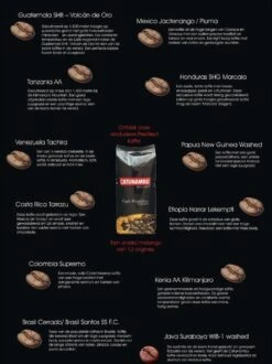 Catunambú Predilect Koffiebonen 1 Kilo - Premium Kwaliteit - Horecakoffie Voor Thuis - Ultiem Koffiegenot -Koffie Benodigdheden Korting 897x1200 1